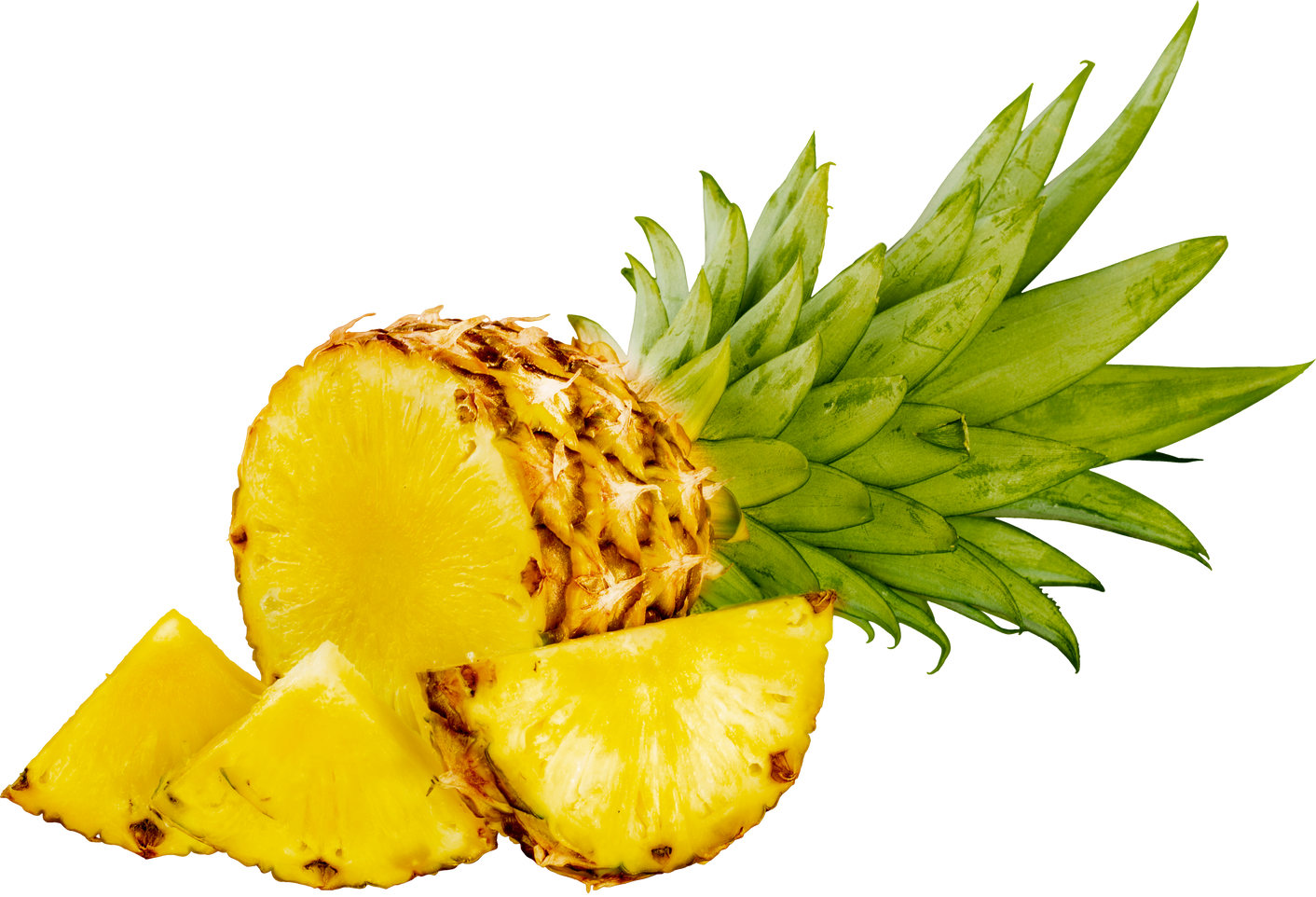 Pineapple Fruit and Slices 