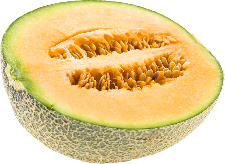 Cantaloupe melon