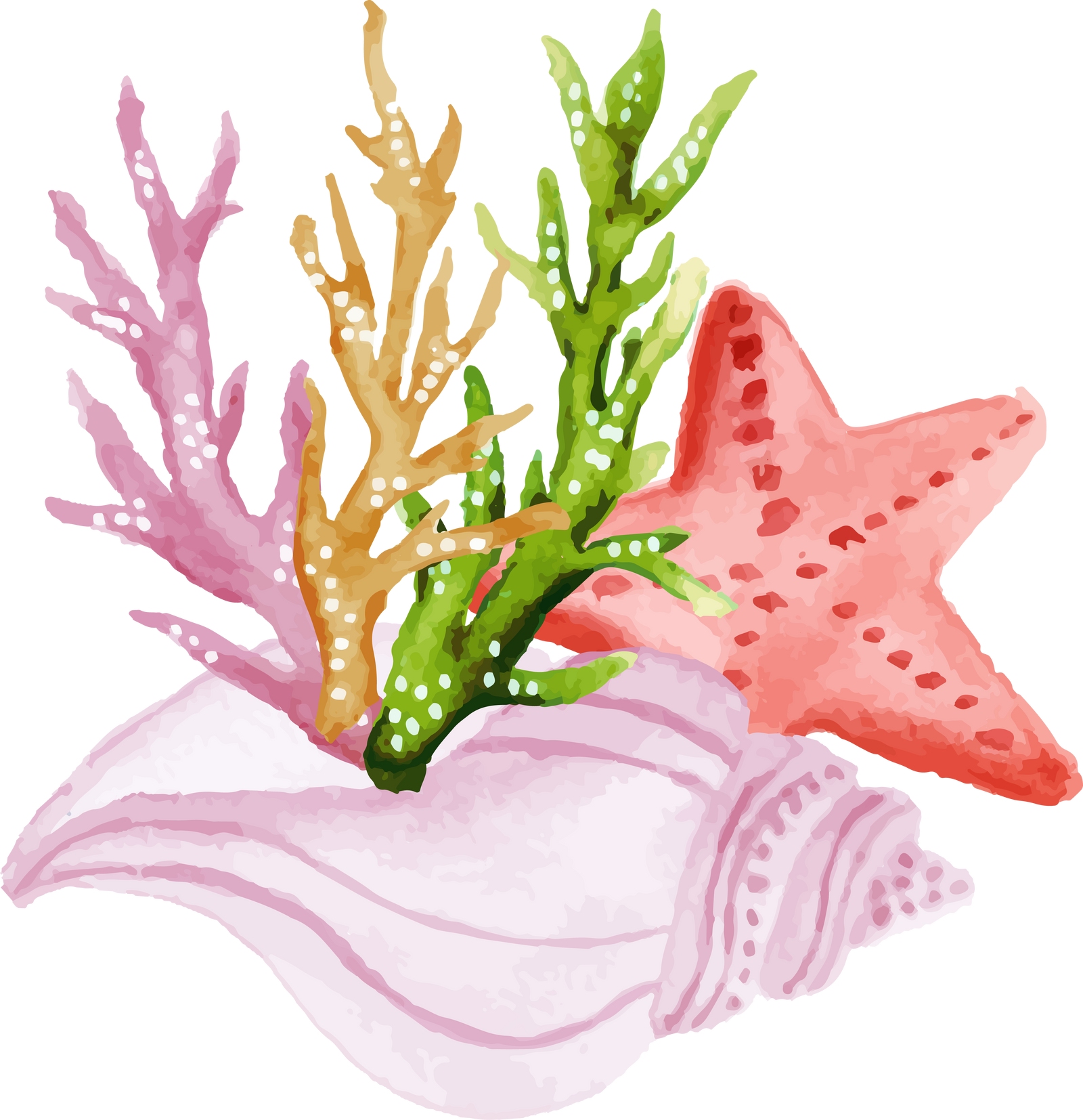 watercolor summer sea creature collection