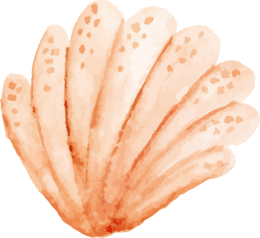 watercolor summer sea creature element