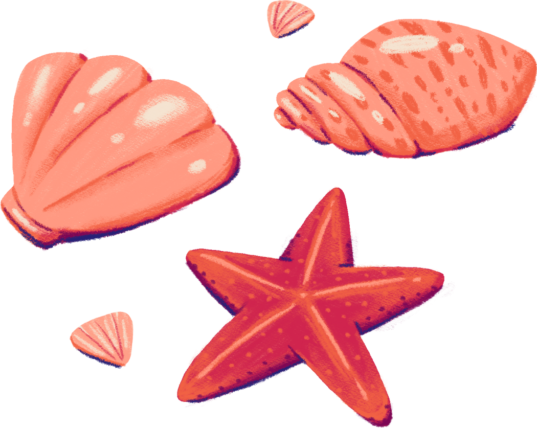 Buildable Beach Scenes Seashells and Starfish