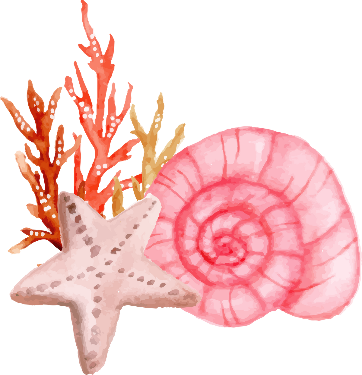 watercolor summer sea creature collection