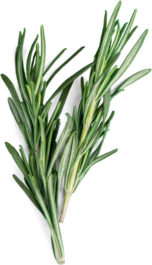 Rosemary.
