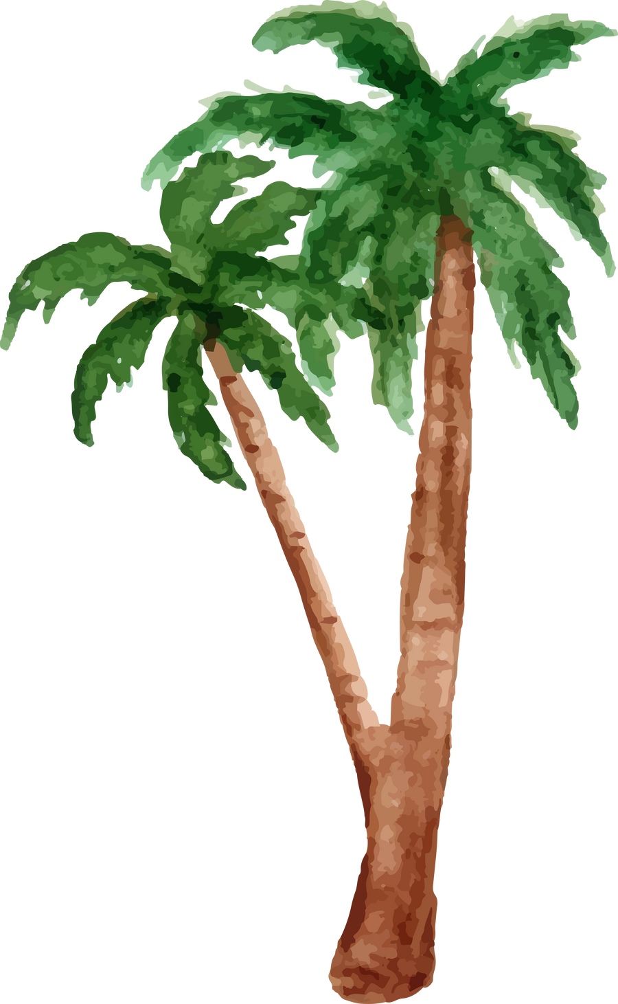 watercolor summer palm tree element