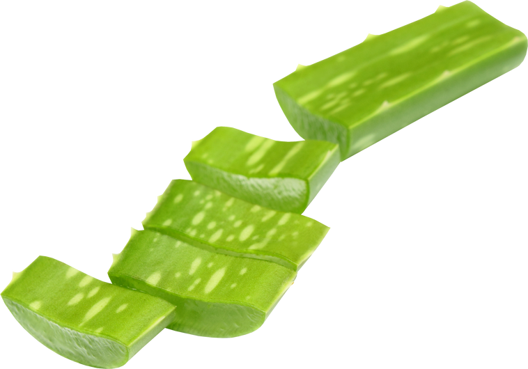 Medicinal Aloe Vera